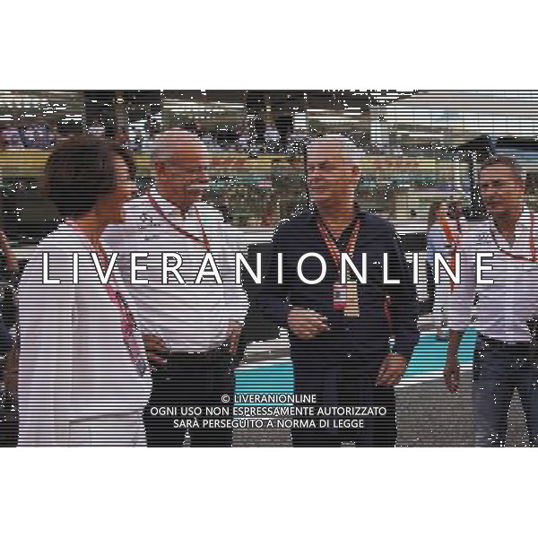 Dr. Dieter Zetsche (GER) Daimler AG CEO on the grid. 26.11.2017. Formula 1 World Championship, Rd 20, Abu Dhabi Grand Prix, Yas Marina Circuit, Abu Dhabi, Race Day. AG ALDO LIVERANI SAS ONLY ITALY