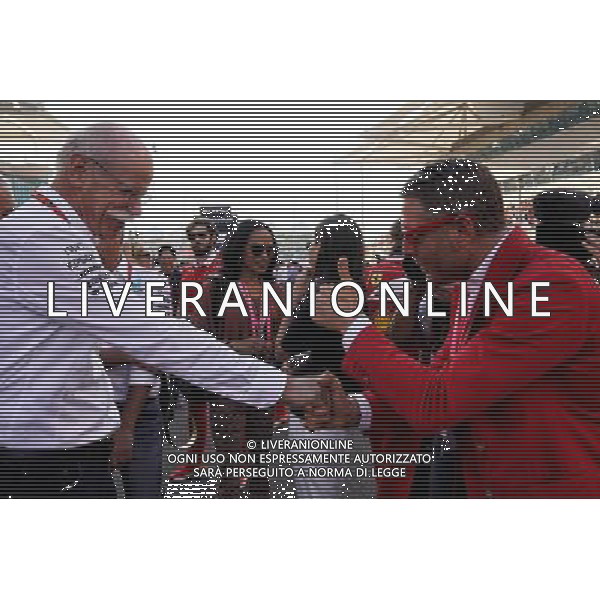 (L to R): Dr. Dieter Zetsche (GER) Daimler AG CEO with Lapo Elkann (USA) LA Holding, Italia Independent and Independent Ideas President on the grid. 26.11.2017. Formula 1 World Championship, Rd 20, Abu Dhabi Grand Prix, Yas Marina Circuit, Abu Dhabi, Race Day. AG ALDO LIVERANI SAS ONLY ITALY