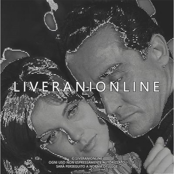 1967 SCENE DEL FILM IL TIGRE CON VITTORIO GASSMAN E ANN-MARGRET OLSSON NELLA FOTO VITTORIO GASSMAN E ANN-MARGRET OLSSON AG ALDO LIVERANI SAS