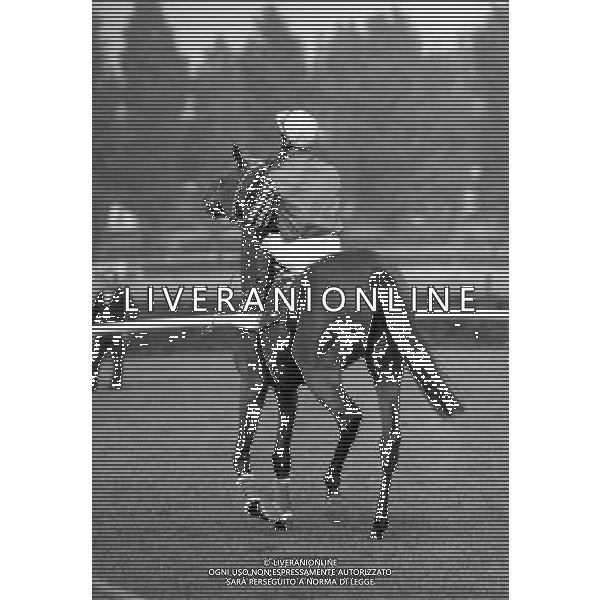 GIANFRANCO DETTORI, fantino italiano a Milano Settembre 1976 - RETROSPETTIVA Â©ARCHIVIO / AGENZIA ALDO LIVERANI SAS 