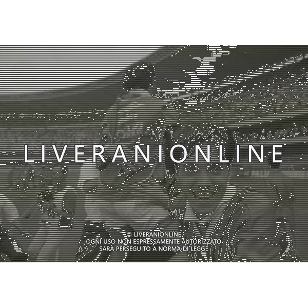 19-06 -1994 VERONA SPAREGGIO FINALE COMO SPAL 2-1 PROMOZIONE DEL COMO IN SERIE B NELLA FOTO mauro bressan ESULTANZA GIOCATORI A FINE GARA DEL COMO PER LA PROMOZIONE IN SERIE B AG ALDO LIVERANI SAS