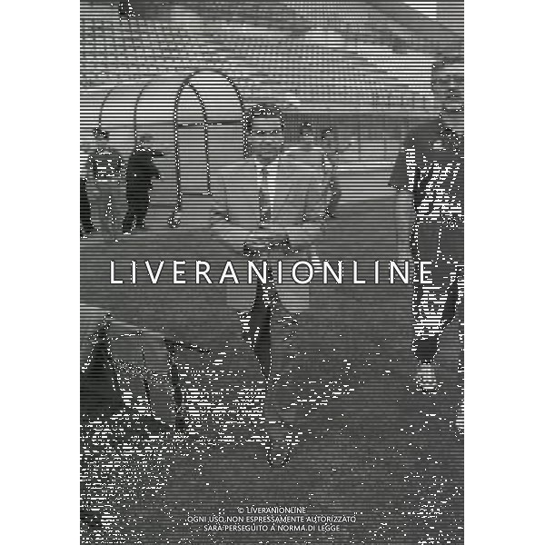 1994-1995 RETROSPETTIVA ROSARIO RAMPANTI ALLENATORE TORINO NELLA FOTO ROSARIO RAMPANTI AG ALDO LIVERANI SAS