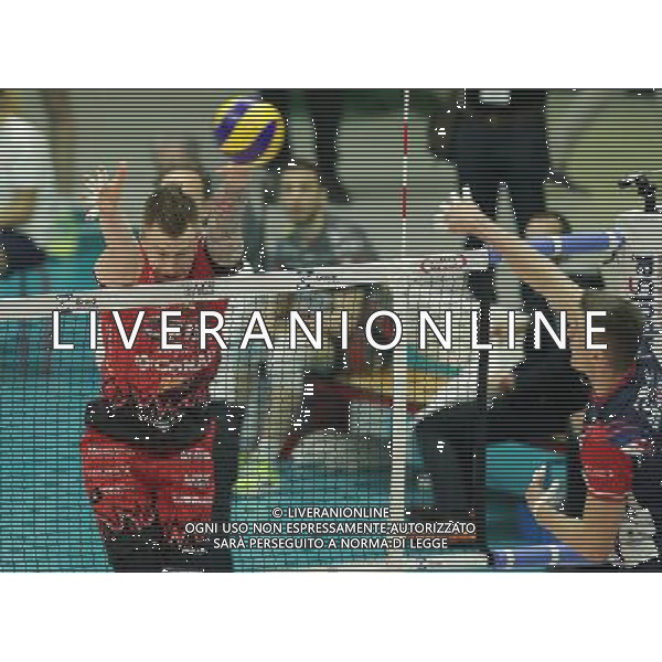 Regular Season SuperLega UnipolSai di Volley 5a Giornata di Ritorno Monza (MB) - 13.01.2018 Gi Group Monza-Sir Safety Conad Perugia Nella Foto:Zaytsev Ivan /Ph.Vitez-Ag. Aldo Liverani