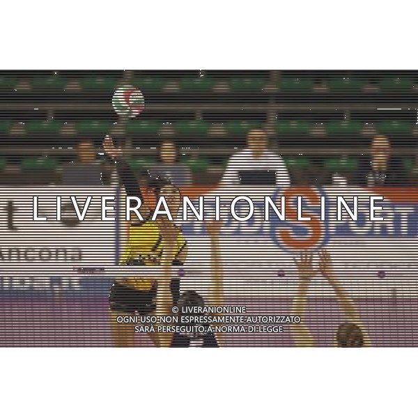MyCicero volley Pesaro - Sab volley Legnano 14/01/2017 nella foto: Coneo Amanda Â©Claudio Zamagni/Agenzia Aldo Liverani / AGENZIA ALDO LIVERANI SAS 