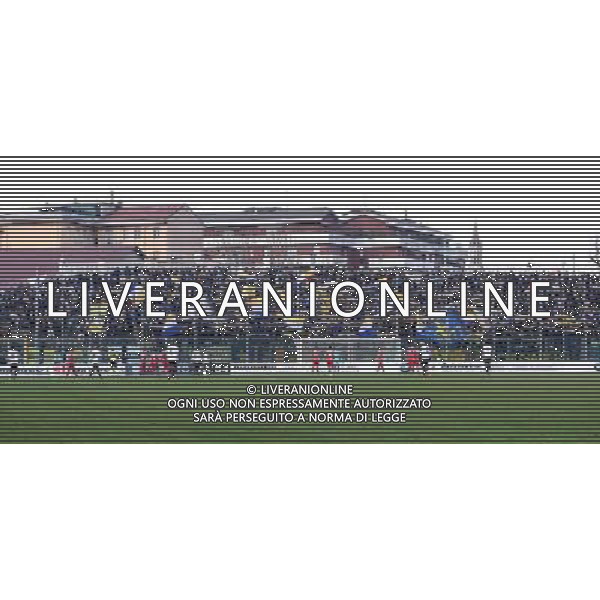 Campionato di Calcio Serie B ConTe.it 2017/2018 22a Giornata Cremona - 20.01.2018 Cremonese-Parma Nella Foto:tifosi parma /Ph.Vitez-Ag. Aldo Liverani