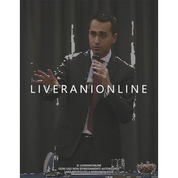 Rimini - Rally per l\'Italia tour del candidato premier Luigi Di Maio 27/01/2018 nella foto: Luigi Di Maio FOTO Claudio Zamagni/Agenzia Aldo Liverani 