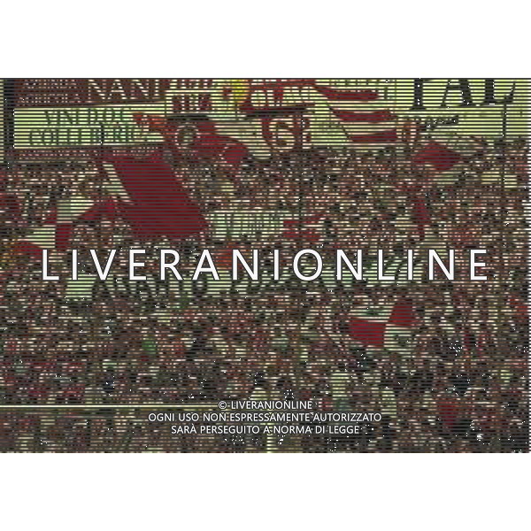 29-05-1999 VICENZA -FINALE DI COPPA ITALIA VICENZA NAPOLI 3-0 NELLA FOTO TIFOSI VICENZA CALCIO AG ALDO LIVERANI SAS