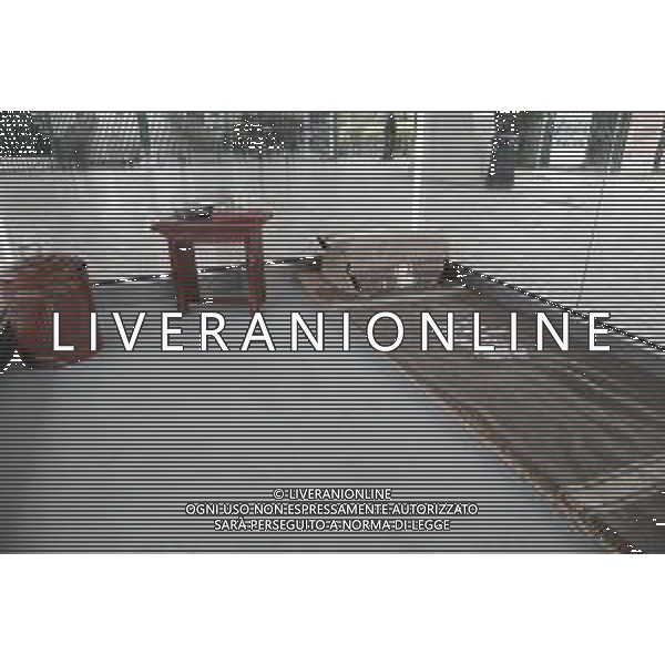 Riproduzione fedele della cella cella di Nelson Mandela al Nelson Mandela Forum, palazzo dello sport della citta\' di Firenze 18 Febbraio 2018 ©Claudio Zamagni/Agenzia Aldo Liverani / AGENZIA ALDO LIVERANI SAS