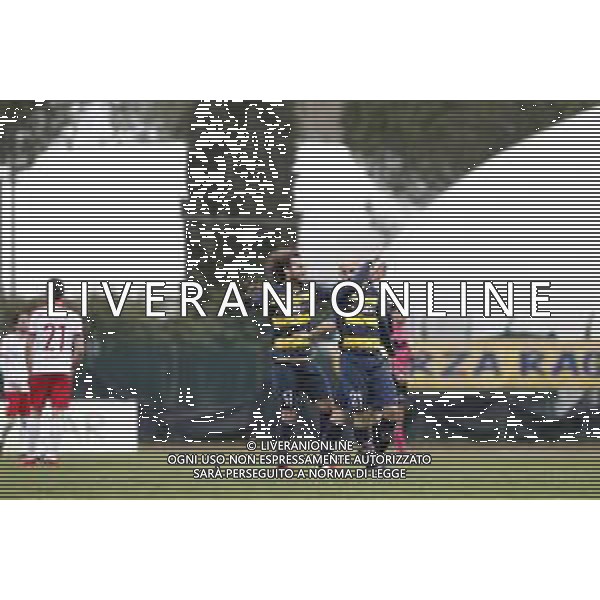 Santarcangelo - Triestina Campionato di calcio Serie C girone B 18/03/2017 nella foto: esultanza santarcangelo dopo il gol di marco briganti ©Claudio Zamagni/Agenzia Aldo Liverani / AGENZIA ALDO LIVERANI SAS - Santarcangelo - Triestina Campionato di calcio Serie C girone B 18-03-2018