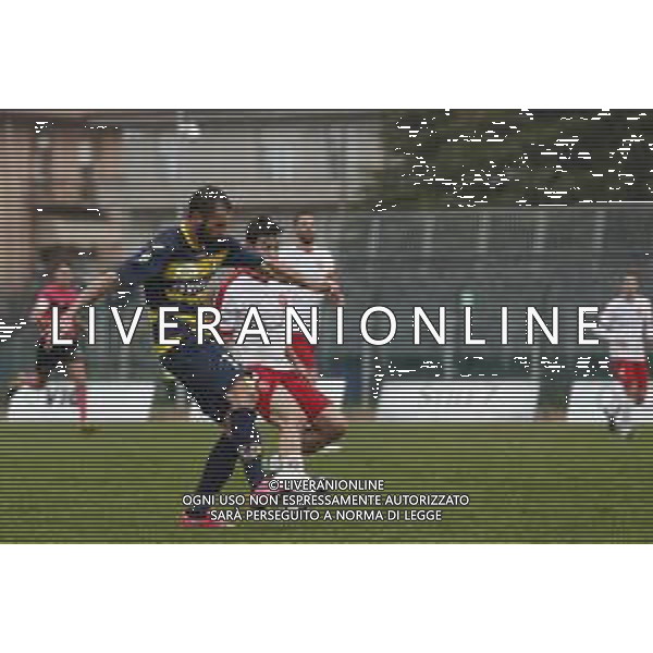 Santarcangelo - Triestina Campionato di calcio Serie C girone B 18/03/2017 nella foto: il gol di gol gianmarco piccioni ©Claudio Zamagni/Agenzia Aldo Liverani / AGENZIA ALDO LIVERANI SAS - SANTARCANGELO - TRIESTINA Campionato di calcio Serie C girone B 18-03-2017
