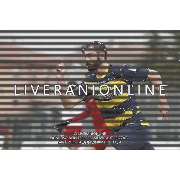 Santarcangelo - Triestina Campionato di calcio Serie C girone B 18/03/2017 nella foto: esultanza dopo il gol di gianmarco piccioni ©Claudio Zamagni/Agenzia Aldo Liverani / AGENZIA ALDO LIVERANI SAS - SANTARCANGELO - TRIESTINA Campionato di calcio Serie C girone B 18-03-2017