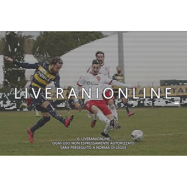 Santarcangelo - Triestina Campionato di calcio Serie C girone B 18/03/2017 nella foto: Capellini Nicola ©Claudio Zamagni/Agenzia Aldo Liverani / AGENZIA ALDO LIVERANI SAS - SANTARCANGELO - TRIESTINA Campionato di calcio Serie C girone B 18-03-2017