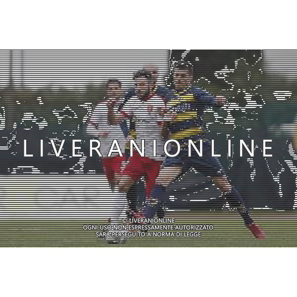 Santarcangelo - Triestina Campionato di calcio Serie C girone B 18/03/2017 nella foto: Bussaglia Andrea ©Claudio Zamagni/Agenzia Aldo Liverani / AGENZIA ALDO LIVERANI SAS - SANTARCANGELO - TRIESTINA Campionato di calcio Serie C girone B 18-03-2017
