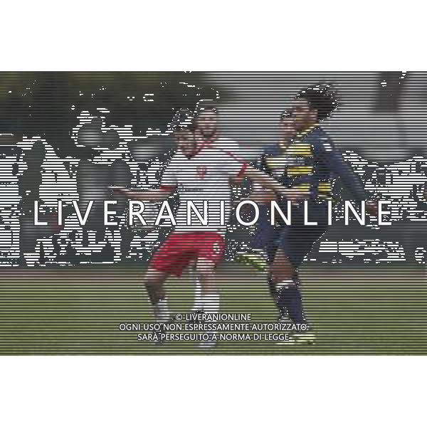 Santarcangelo - Triestina Campionato di calcio Serie C girone B 18/03/2017 nella foto: luca pizzul e Semedo Sandro ©Claudio Zamagni/Agenzia Aldo Liverani / AGENZIA ALDO LIVERANI SAS - SANTARCANGELO - TRIESTINA Campionato di calcio Serie C girone B 18-03-2017