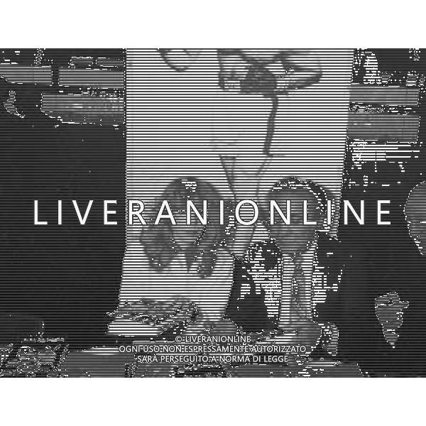 Presentazione del libro di Jake LaMotta \' Toro Scatenato\' a Milano 1981 - RETROSPETTIVA nella foto con Marina Fabbri ©OPTIMAFOTO / AGENZIA ALDO LIVERANI SAS