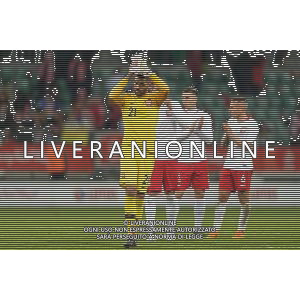 Cena minimalna internet 100 zl Cena minimalna print 100 zl Wroclaw 23 03 2018 Pilka nozna mecz towarzyski Polska vs Nigeria N/z Bartosz Bialkowski poland bramkarz goalkeeper #21 dziekuje kibicom thank fans for their support Fot: Sebastian Borowski / newspix.pl Football friendly match Poland vs Nigeria --- Newspix.pl AG ALDO LIVERANI SAS ONLY ITALY