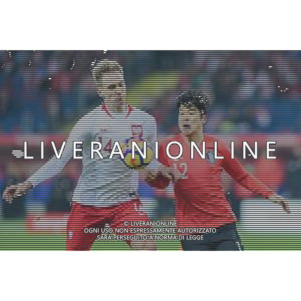 27.03.2018 CHORZOW, STADION SLASKI PILKA NOZNA (FOOTBALL) MECZ TOWARZYSKI REPREZENTACJI NARODOWYCH (INTERNATIONAL FRIENDLY GAME) MECZ POLSKA - KOREA POLUDNIOWA (GAME POLAND - REPUBLIC OF KOREA ) NZ LUKASZ TEODORCZYK PARK JOO - HO FOTO MARCIN PIRGA / CYFRASPORT / NEWSPIX.PL --- Newspix.pl AG ALDO LIVERANI SAS