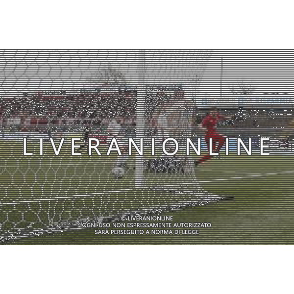 Rimini - Imolese Campionato di Calcio Serie D 29/03/2018 nella foto: gol dell\' imolese ©Claudio Zamagni/Agenzia Aldo Liverani