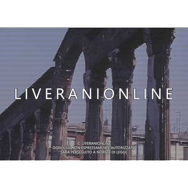 MILAO- COLONNE DI SAN LORENZO AG ALDO LIVERANI SAS