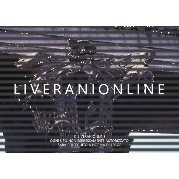 MILAO- COLONNE DI SAN LORENZO AG ALDO LIVERANI SAS
