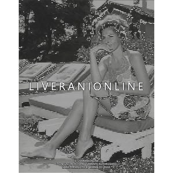 RETROSPETTIVA ORNELLA VANONI CANTANTE NELLA FOTO ORNELLA VANONI AG ALDO LIVERANI SAS