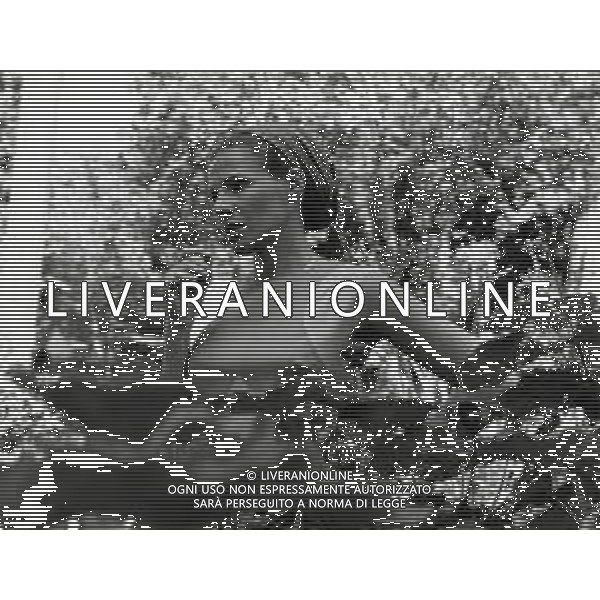 RETROSPETTIVA ORNELLA VANONI CANTANTE NELLA FOTO ORNELLA VANONI AG ALDO LIVERANI SAS