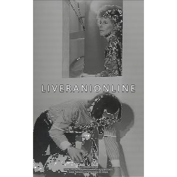 RETROSPETTIVA ORNELLA VANONI CANTANTE NELLA FOTO ORNELLA VANONI CON MAURIZIO NICHETTI AG ALDO LIVERANI SAS