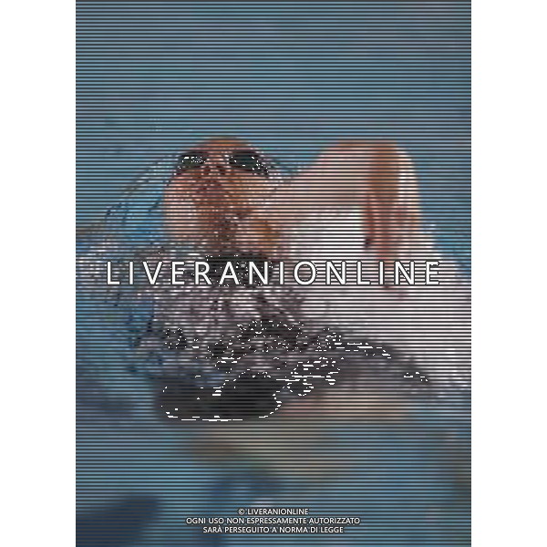 Riccione - Campionato Italiano Assoluto di Nuoto UnipolSai 12/04/2018 nella foto: Franceschi Sara ©Claudio Zamagni/Agenzia Aldo Liverani