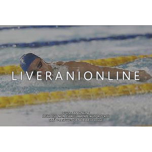 Riccione - Campionato Italiano Assoluto di Nuoto UnipolSai 13/04/2018 nella foto: Ilaria Bianchi ©Claudio Zamagni/Agenzia Aldo Liverani