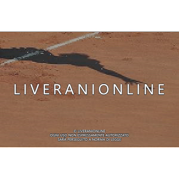 Fed Cup Play-Off per la promozione nel World Group Italia-Belgio Genova - 21.04.2018 Jasmine Paolini vs Elise Mertens Nella Foto:Ombre /Ph.Vitez-Ag. Aldo Liverani / AGENZIA ALDO LIVERANI SAS