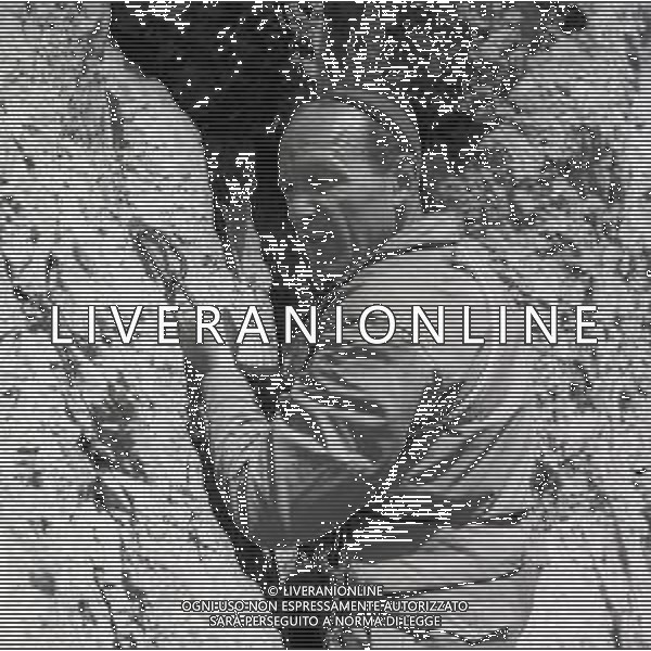 1950 RETROSPETTIVA RICCARDO CASSANIS ALPINISTA E SCALATORE AG ALDO LIVERANI SAS