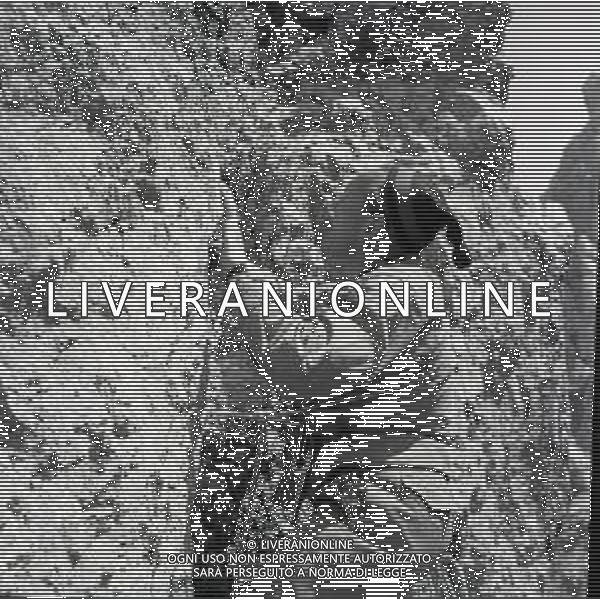 1950 RETROSPETTIVA RICCARDO CASSANIS ALPINISTA E SCALATORE AG ALDO LIVERANI SAS