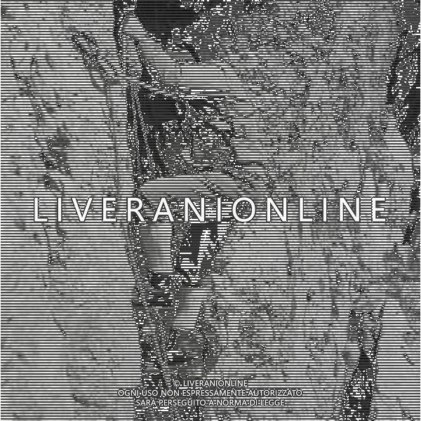 1950 RETROSPETTIVA RICCARDO CASSANIS ALPINISTA E SCALATORE AG ALDO LIVERANI SAS
