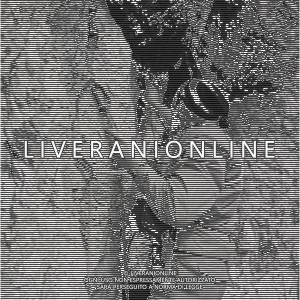 1950 RETROSPETTIVA RICCARDO CASSANIS ALPINISTA E SCALATORE AG ALDO LIVERANI SAS