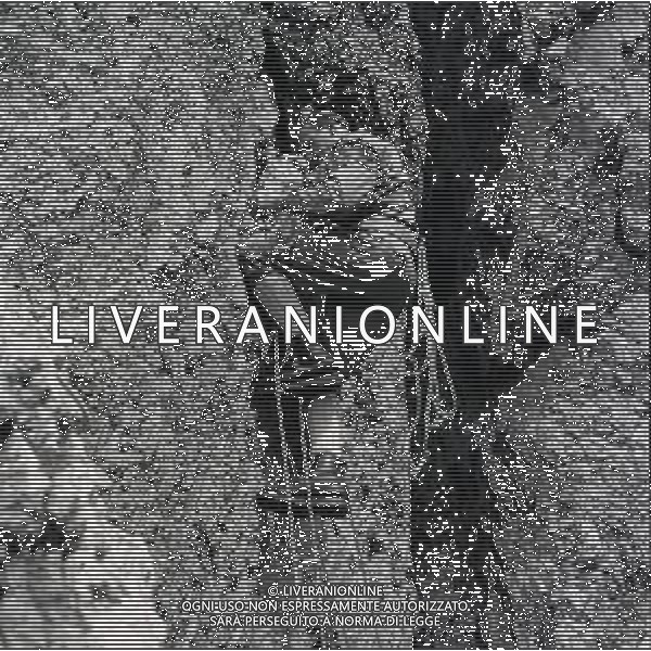 1950 RETROSPETTIVA RICCARDO CASSANIS ALPINISTA E SCALATORE AG ALDO LIVERANI SAS