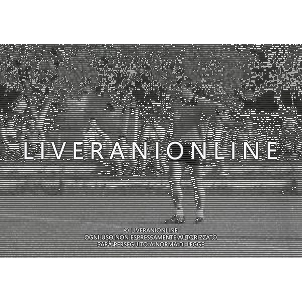 RETROSPETTIVA TARCISIO BURGNICH ALLENATORE E CALCIATORE NELLA FOTO TARCISIO BURGNICH ALLENATORE BOLOGNA CALCIO 1981-1982 AG ALDO LIVERANI SAS