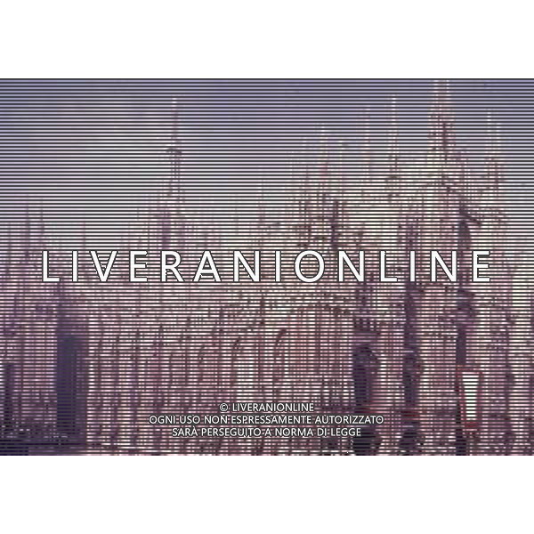 MILANO IL DUOMO AG ALDO LIVERANI SAS MILANO DUOMO NELLA FOTO IL DUOMO DI MILANO AG ALDO LIVERANI SAS