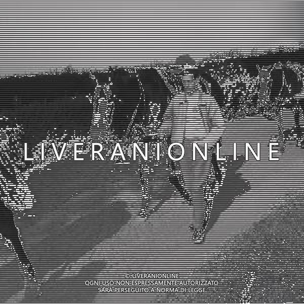 1955 RETROSPETTIVA RIBOT AG ALDO LIVERANI SAS