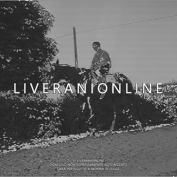 1955 RETROSPETTIVA RIBOT AG ALDO LIVERANI SAS