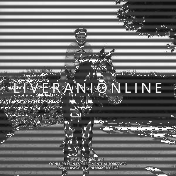 1955 RETROSPETTIVA RIBOT AG ALDO LIVERANI SAS