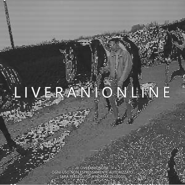 1955 RETROSPETTIVA RIBOT AG ALDO LIVERANI SAS