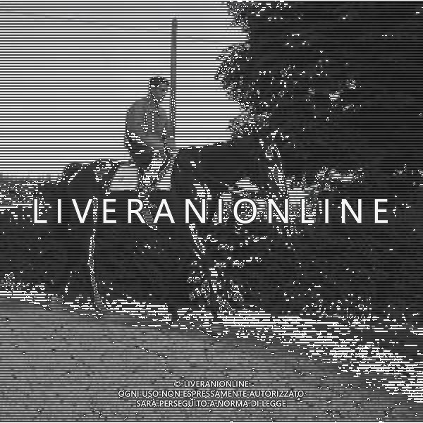 1955 RETROSPETTIVA RIBOT AG ALDO LIVERANI SAS