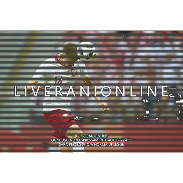 12.06.2018 WARSZAWA, PGE NARODOWY PILKA NOZNA (FOOTBALL) MECZ TOWARZYSKI REPREZENTACJI POLSKI (INTERNATIONAL FRIENDLY GAME) MECZ (GAME) POLSKA - LITWA (POLAND - LITHUANIA) NZ LUKASZ TEODORCZYK FOTO RADOSLAW JOZWIAK / CYFRASPORT / NEWSPIX.PL --- Newspix.pl AG ALDO LIVERANI SAS ONLY ITALY