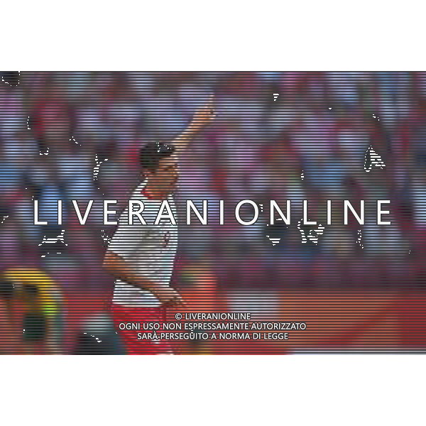 2018.06.12 Warszawa Pilka nozna Mecz Towarzyski Sparing Polska - Litwa N/z bramka gol radosc na 1-0 Robert Lewandowski Foto Pawel Andrachiewicz / PressFocus 2018.06.12 Warszawa Football Friendly Game Poland - Lithuania bramka gol radosc na 1-0 Robert Lewandowski Credit: Pawel Andrachiewicz / PressFocus / NEWSPIX.PL --- Newspix.pl AG ALDO LIVERANI SAS ONLY ITALY