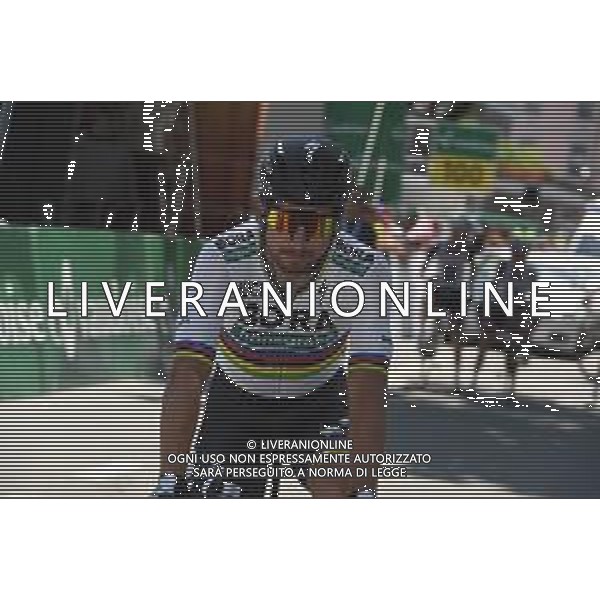 16-06-2018 Tour De Suisse; Tappa 08 Bellinzona - Bellinzona; 2018, Bora - Hansgrohe; Sagan, Peter; Bellinzona; ©SIROTTI / AGENZIA ALDO LIVERANI SAS