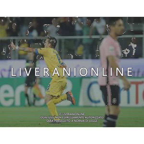 Campionato di Calcio Serie B ConTe.it 2017/2018 Finale Playoff Ritorno Frosinone - 16.06.2018 Frosinone-Palermo Nella Foto:maiello esulta /Ph.Vitez-Ag. Aldo Liverani