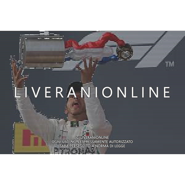 Lewis Hamilton (GBR) Mercedes AMG F1 24.06.2018. Formula 1 World Championship, Rd 8, French Grand Prix, Paul Ricard, France, Race Day. / AGENZIA ALDO LIVERANI SAS - ITALY ONLY EDITORIAL USE ONLY - F1 GP FRANCIA GARA 24.06.2018