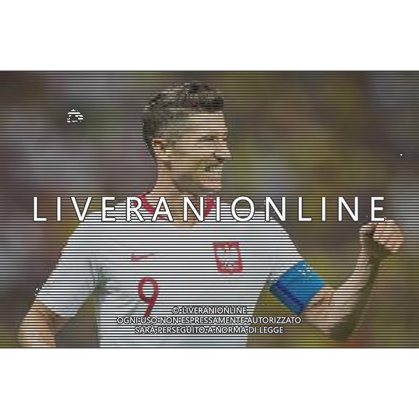 24.06.2018 KAZAN, ARENA KAZAN PILKA NOZNA (FOOTBALL) MISTRZOSTWA SWIATA ROSJA 2018 FIFA WORLD CUP RUSSIA 2018 POLSKA - KOLUMBIA (POLAND-COLUMBIA) NZ ROBERT LEWANDOWSKI FOTO LUKASZ SKWIOT/CYFRASPORT / NEWSPIX.PL --- Newspix.pl AG ALDO LIVERANI SAS-ONLY ITALY