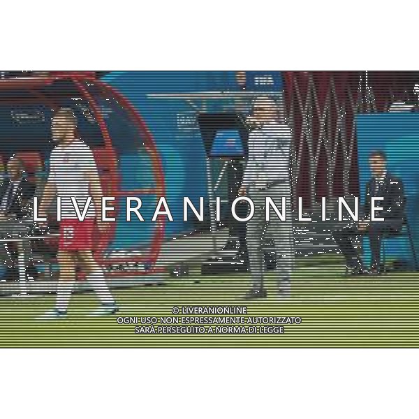 24.06.2018 KAZAN, ARENA KAZAN PILKA NOZNA (FOOTBALL) MISTRZOSTWA SWIATA ROSJA 2018 FIFA WORLD CUP RUSSIA 2018 POLSKA - KOLUMBIA (POLAND-COLUMBIA) NZ ADAM NAWALKA FOTO LUKASZ SKWIOT/CYFRASPORT / NEWSPIX.PL --- Newspix.pl AG ALDO LIVERANI SAS-ONLY ITALY