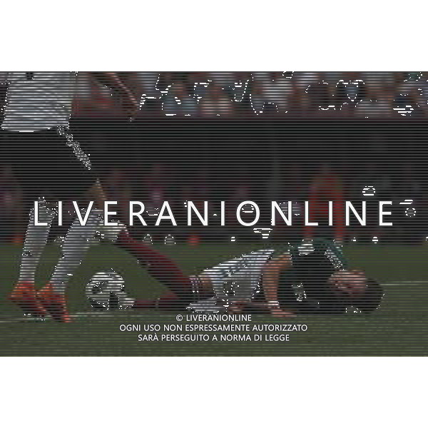 FIFA World Cup Russia 2018 Match No. 011, 2018-06-17 Germany vs Mexico Luzhniki Stadium PILKA NOZNA MISTRZOSTWA SWIATA W PILCE NOZNEJ MUNDIAL ROSJA 2018 NIEMCY - MEKSYK FOT. JOHN BOTOS PROJECT PLUS/NEWSPIX.PL --- Newspix.pl Hector HERRERA (MEX)
